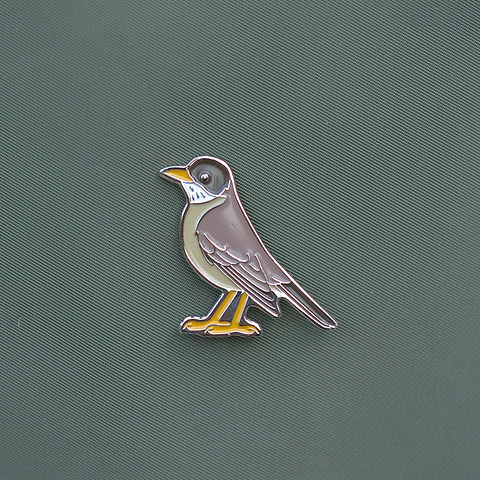Pin Zorzal