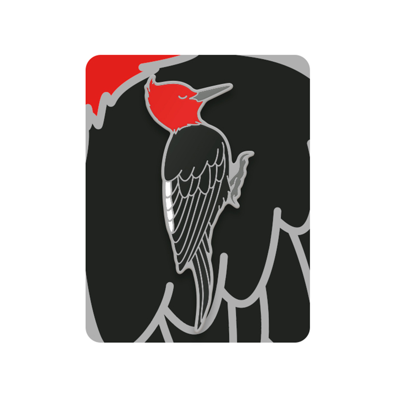 Pin Carpintero negro (macho) 1