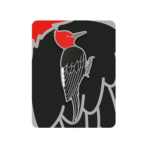 Pin Carpintero negro (macho)