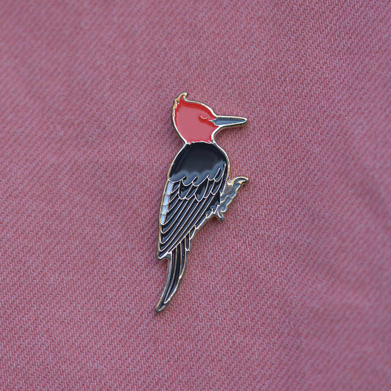 Pin Carpintero negro (macho) 2