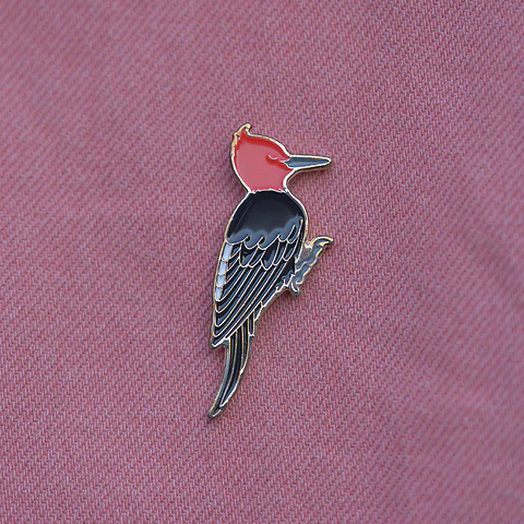 Pin Carpintero negro (macho)