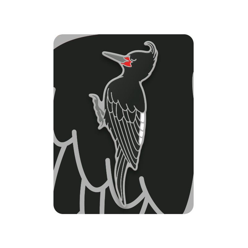 Pin Carpintero negro (hembra) 1