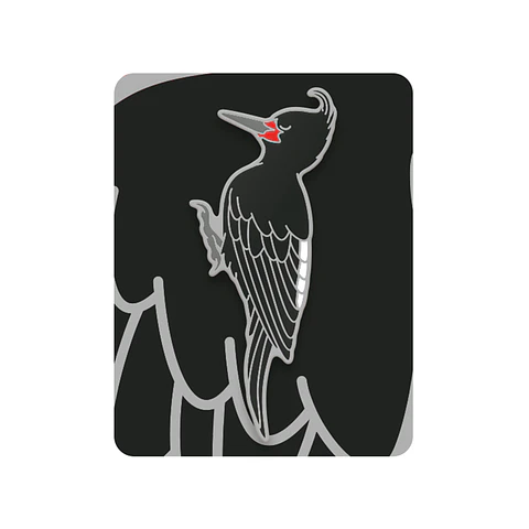 Pin Carpintero negro (hembra)