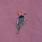Pin Carpintero negro (pack) - Miniatura 2