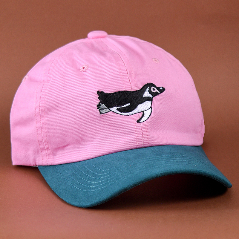 Jockey Pingüino de Humboldt 1