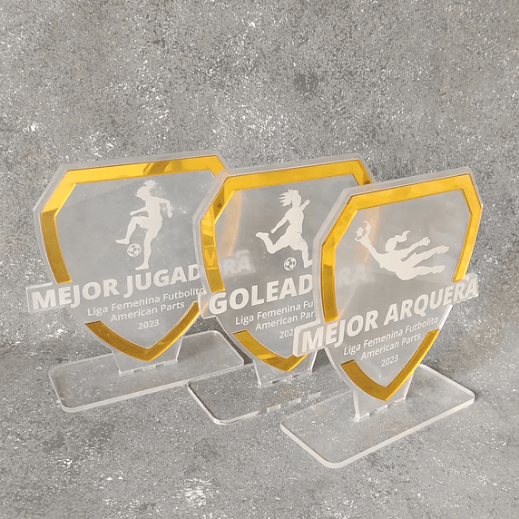 Galardón Escudo de Acrílico 5