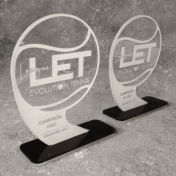 Galardón Forma Personalizada de Acrílico 1