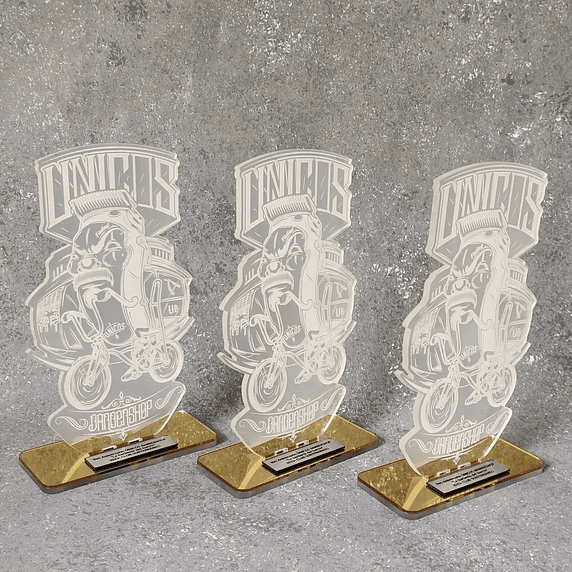 Galardón Forma Personalizada de Acrílico 3