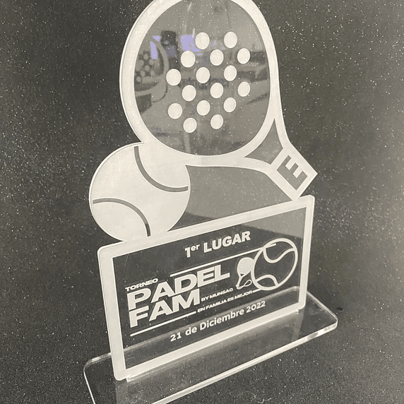 Galardón Forma Personalizada de Acrílico 4