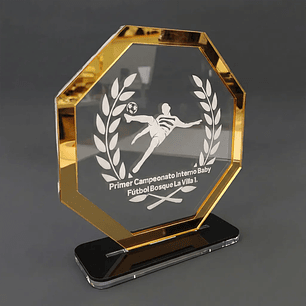 Galardón Octagonal de Acrílico