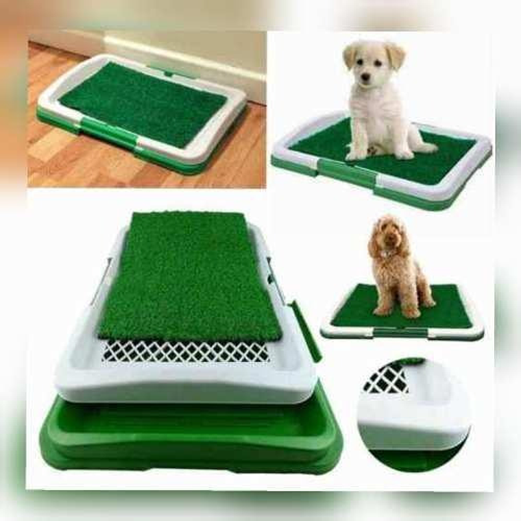 Baño Ecológico Perros Gatos Entrenamiento Mascotas  3