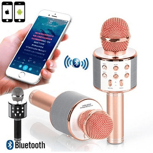 Microfono Karaoke Mini Parlante Portatil Usb Distorsión Voz