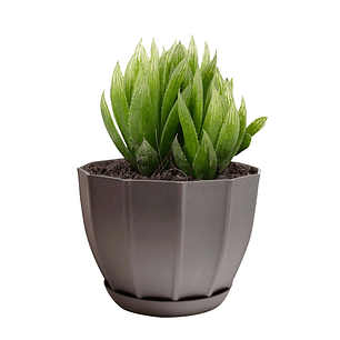 Macetero Plástico 15x11 cm