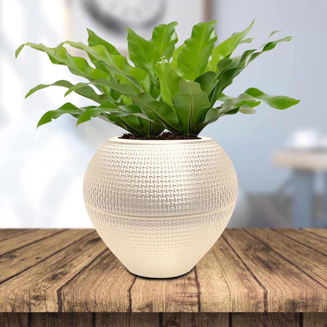 Macetero plástico 18x20 cm   2