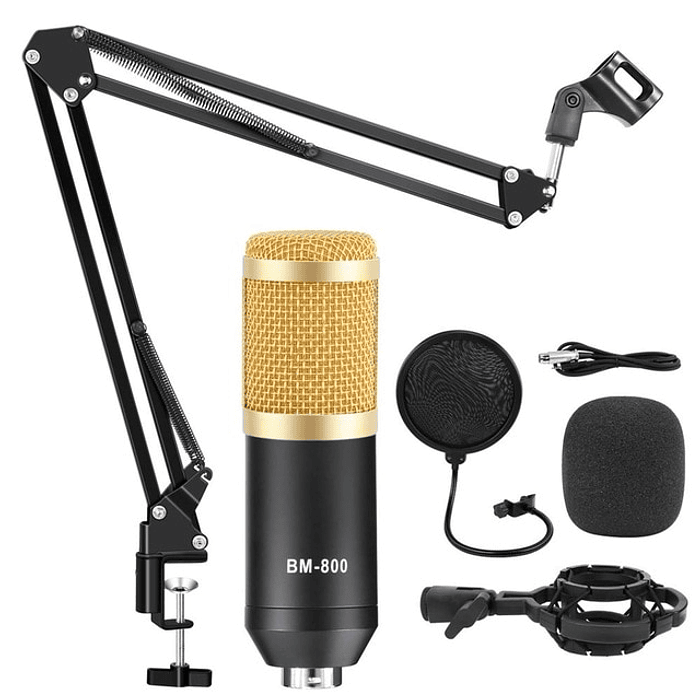 Kit Micrófono Condensador + Brazo + Filtros de audio 1