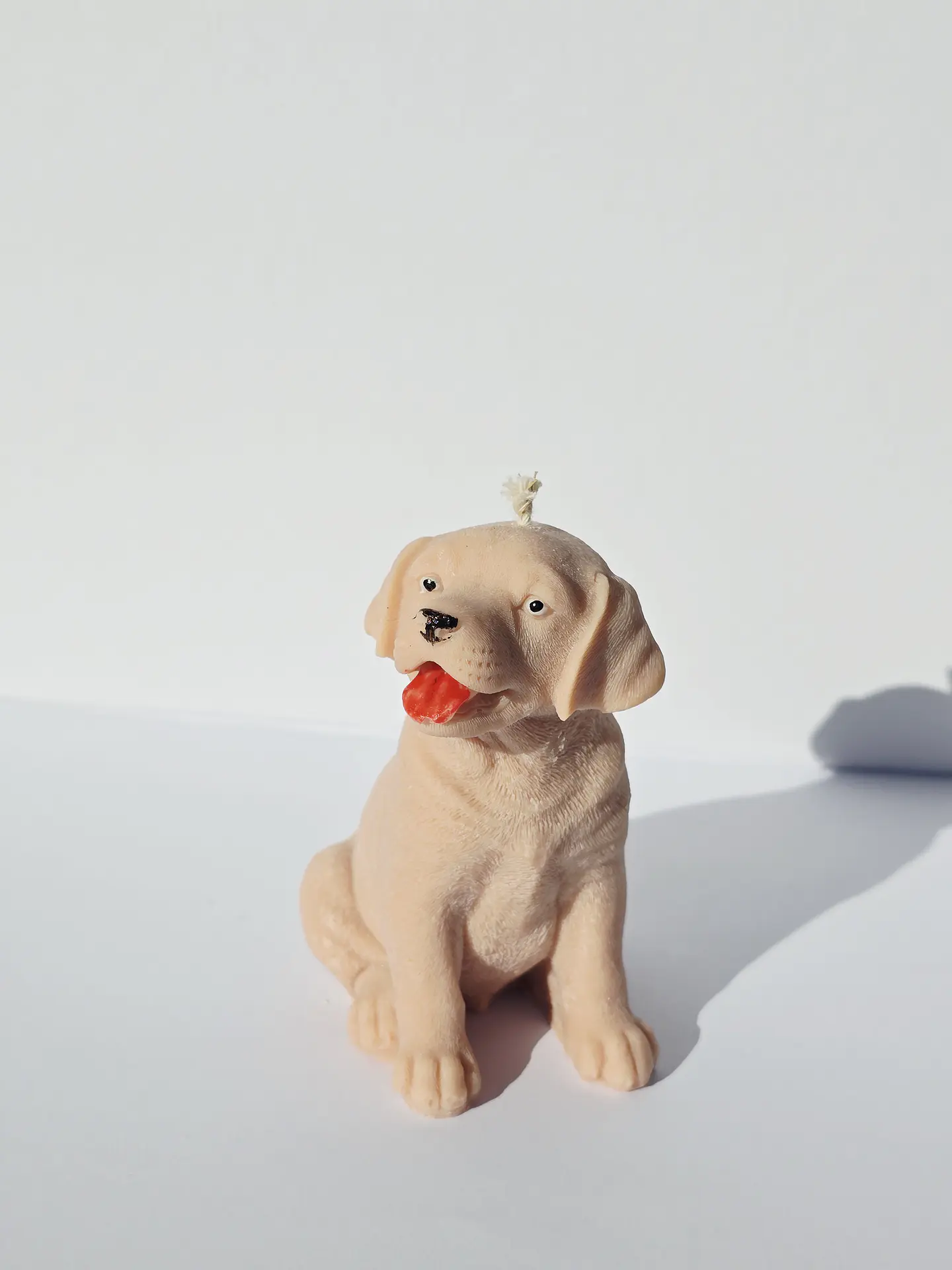 Dog 1