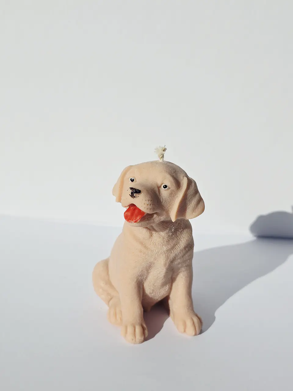 Dog 1