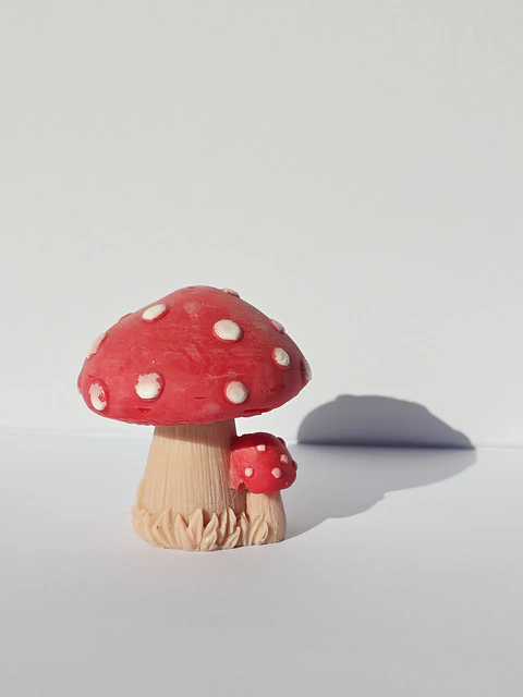 Large Mushroom