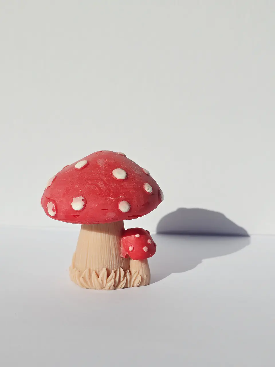 Large Mushroom 1