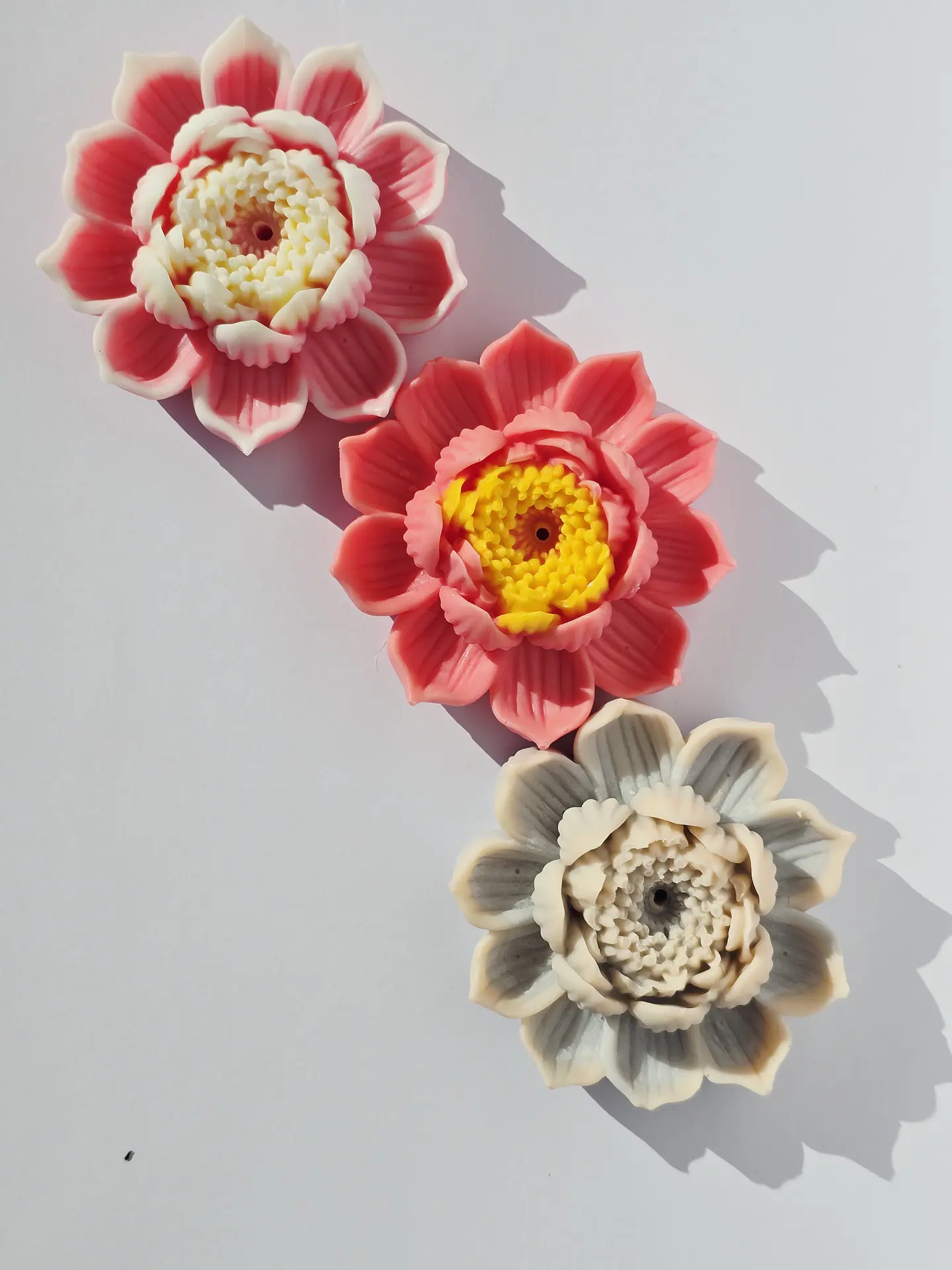 Flor de Lótus 1