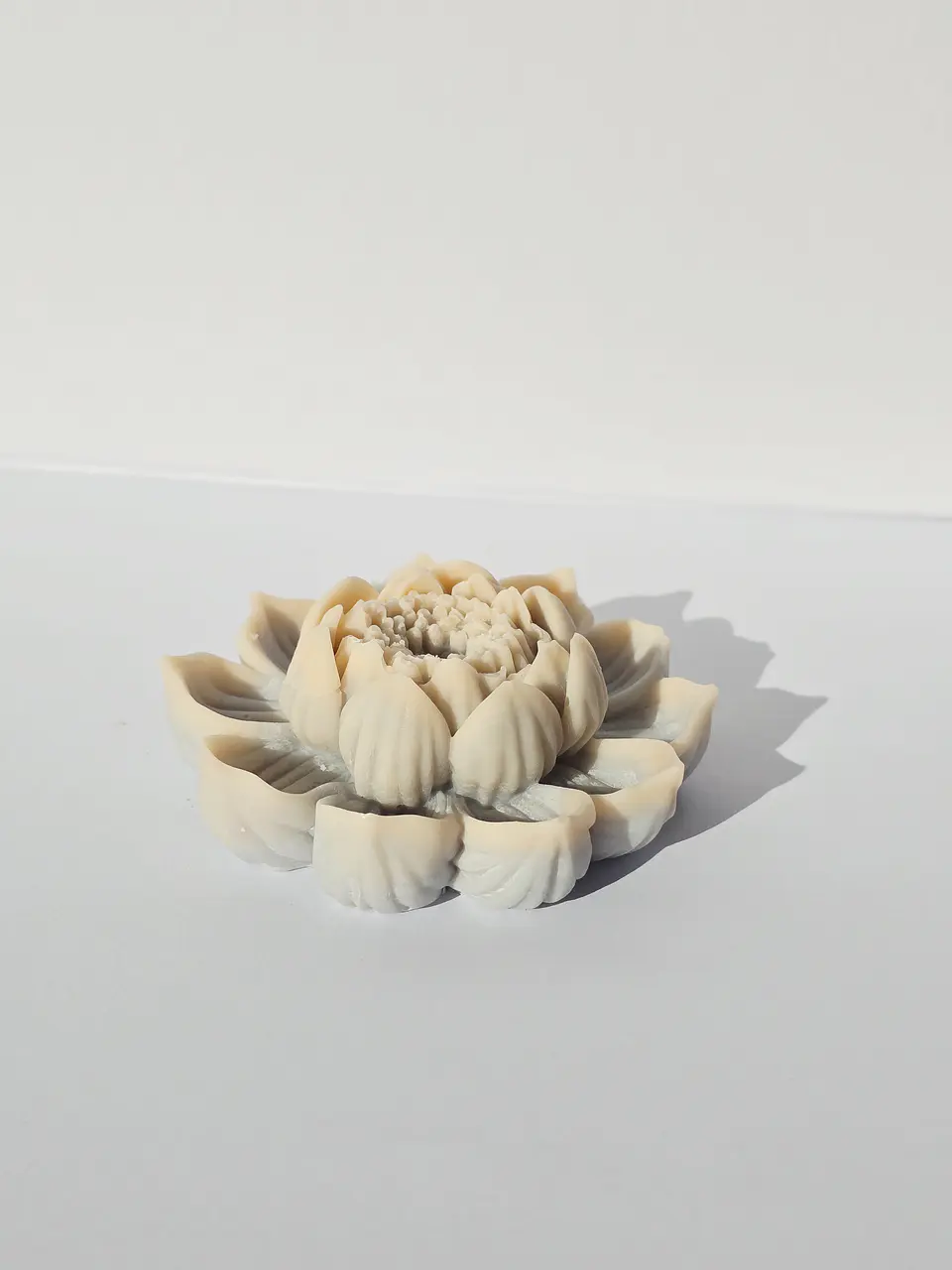 Flor de Lótus 3