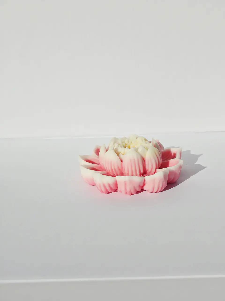Flor de Lótus 5