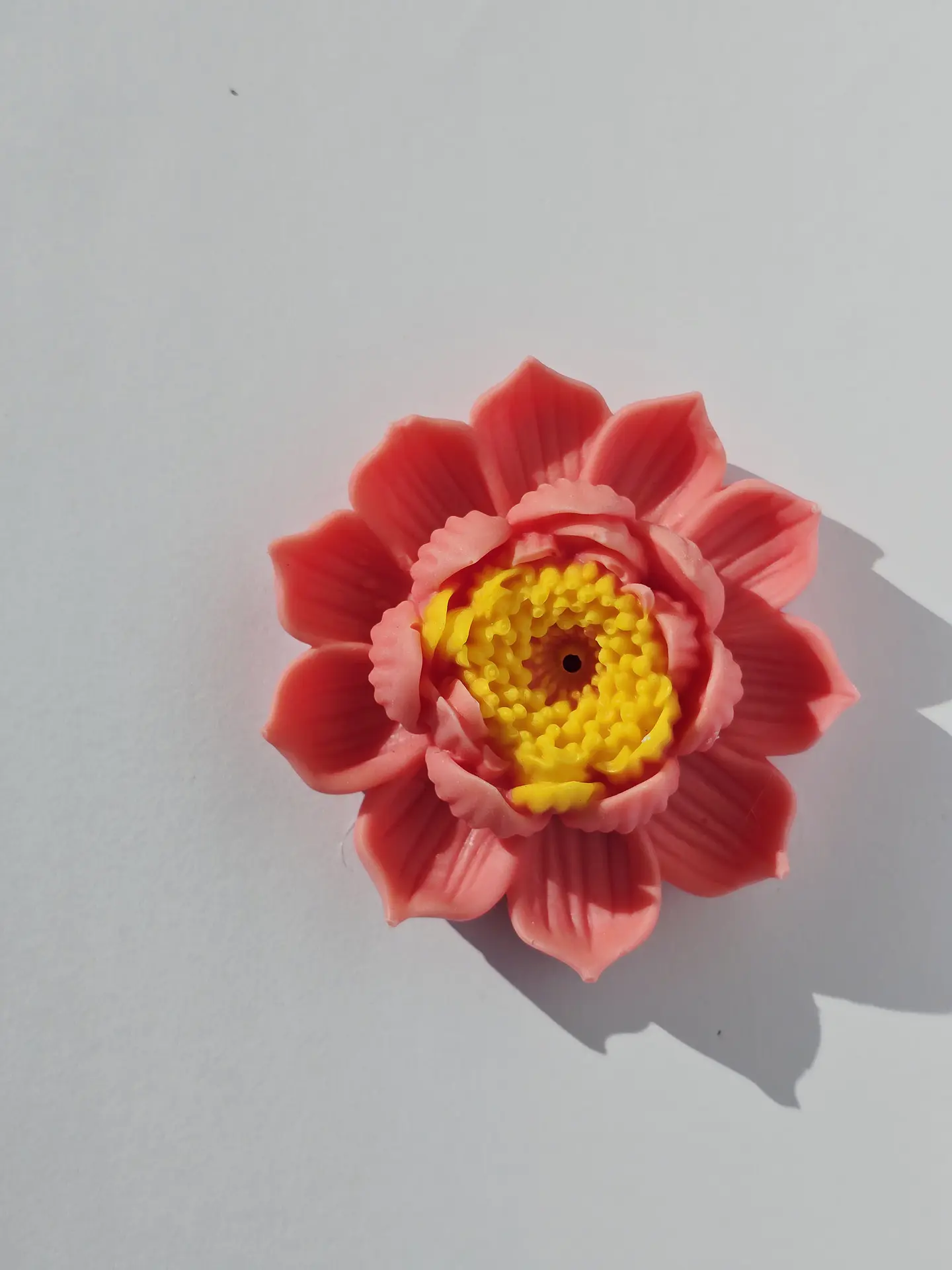 Flor de Lótus 6