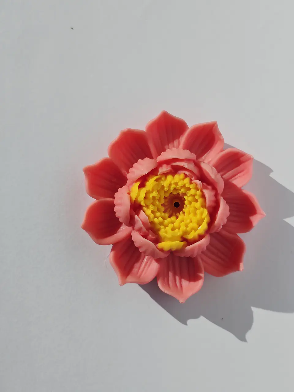 Flor de Lótus 6