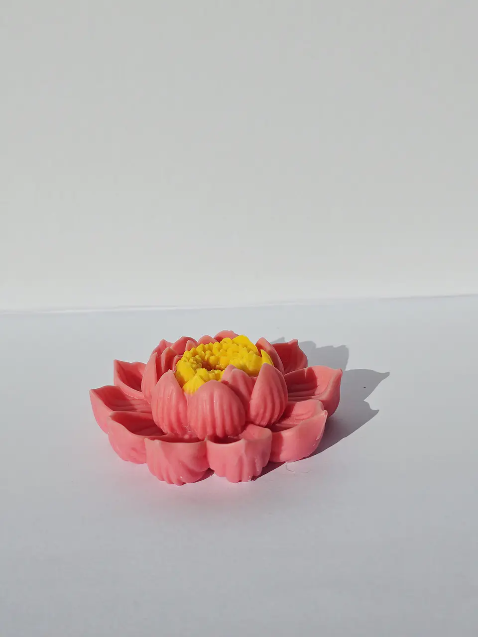 Flor de Lótus 7