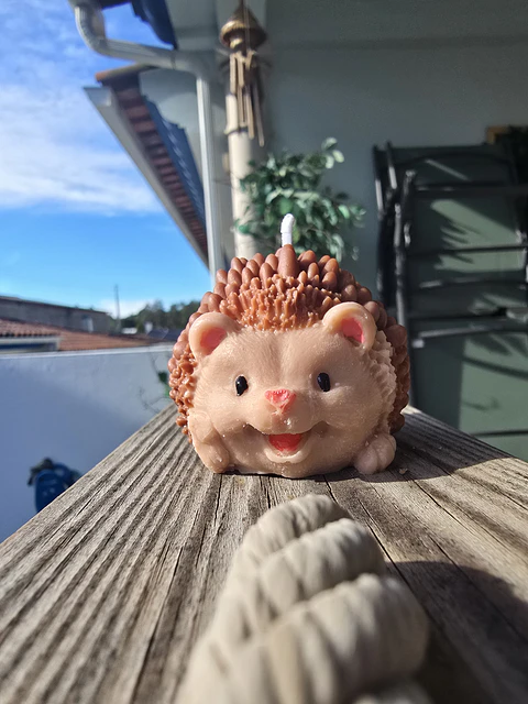 Hedgehog