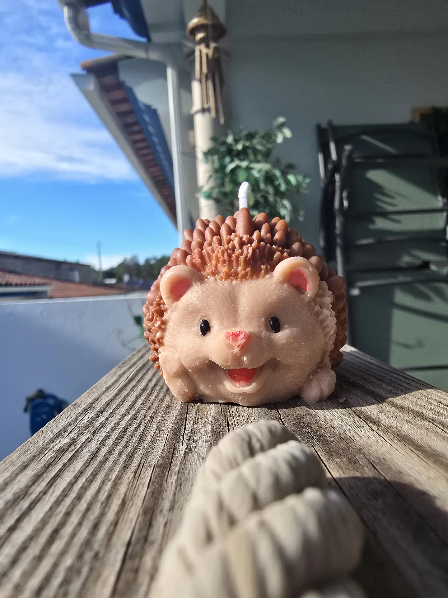 Hedgehog 1