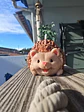 Hedgehog - thumbnail 1