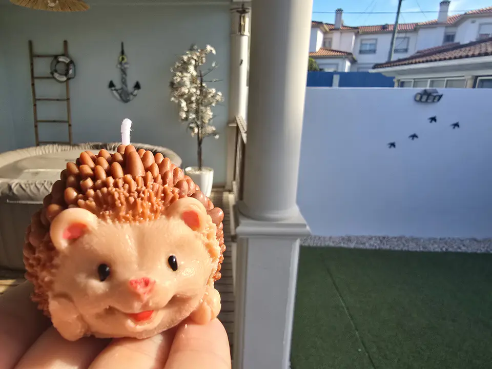 Hedgehog 2