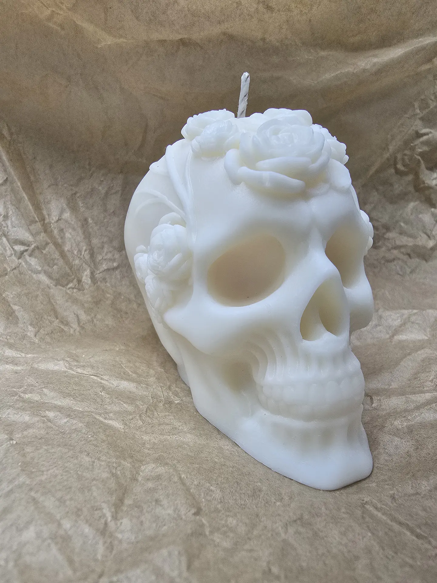 Skull  1