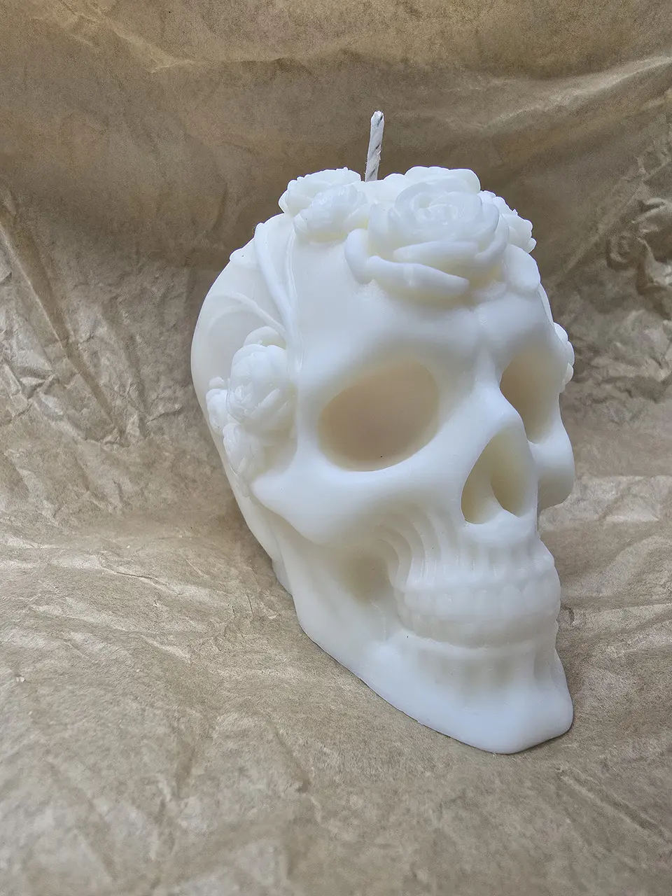 Skull  1