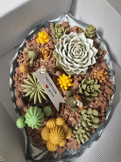Succulent Center
