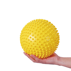 Pelota Puercoespín 20cm (012) DACTIC