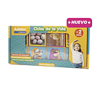 SECUENCIAS DE LOS CICLOS DE VIDA ADETEC 20 PIEZAS 1