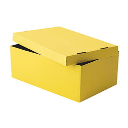 Caja Cartón 28x17,5x10,5cm Amarillo (010) ADIX