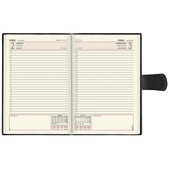 Agenda Manager Silver