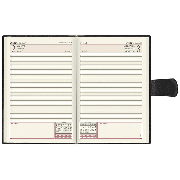 Agenda Manager Silver 2