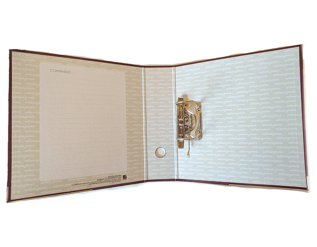 Archivador Lomo Ancho Carta Wilson Jones