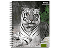 Cuaderno Universitario Croquis 100 Hjs Animal Places