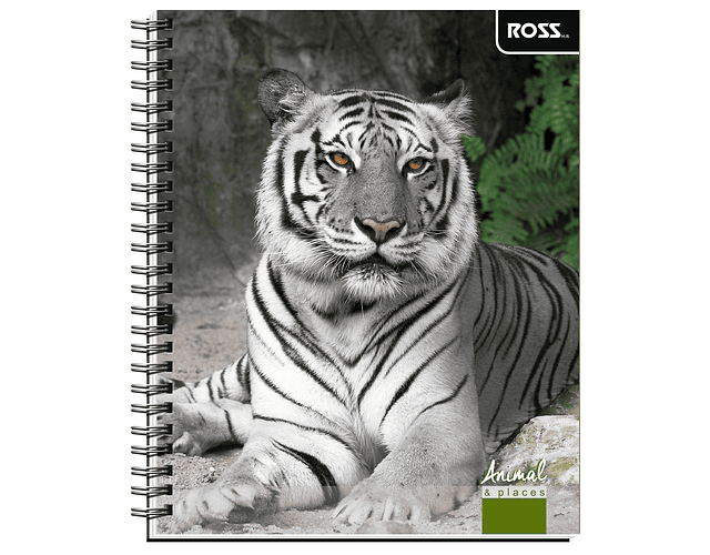 Cuaderno Universitario Croquis 100 Hjs Animal Places