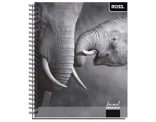 Cuaderno Universitario Croquis 100 Hjs Animal Places