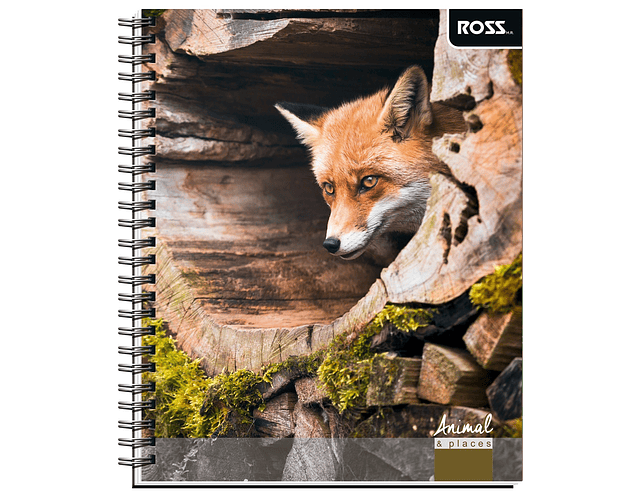 Cuaderno Universitario Croquis 100 Hjs Animal Places