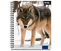Cuaderno Universitario Croquis 100 Hjs Animal Places