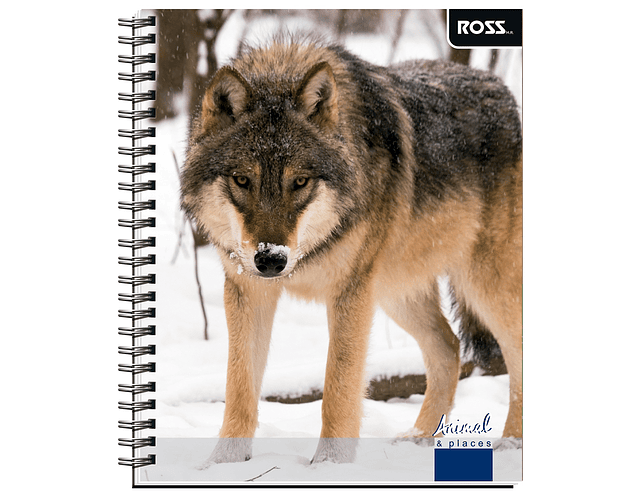 Cuaderno Universitario Croquis 100 Hjs Animal Places