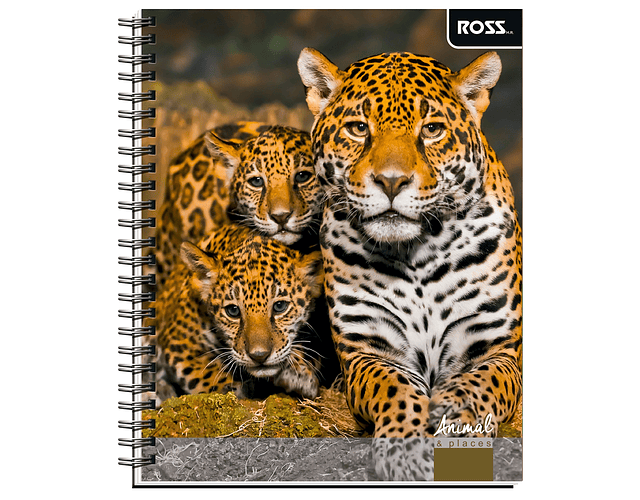 Cuaderno Universitario Croquis 100 Hjs Animal Places