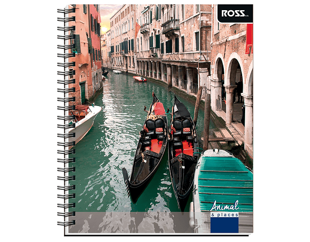 Cuaderno Universitario Croquis 100 Hjs Animal Places